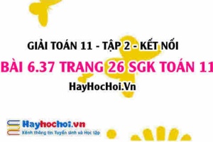 Bài 6.37 trang 26 Toán 11 tập 2 Kết nối tri thức